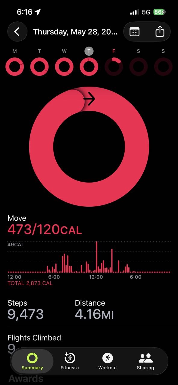 Apple Health summary: 2,873 calories, 9,473 steps, 4.16 miles — wire management day