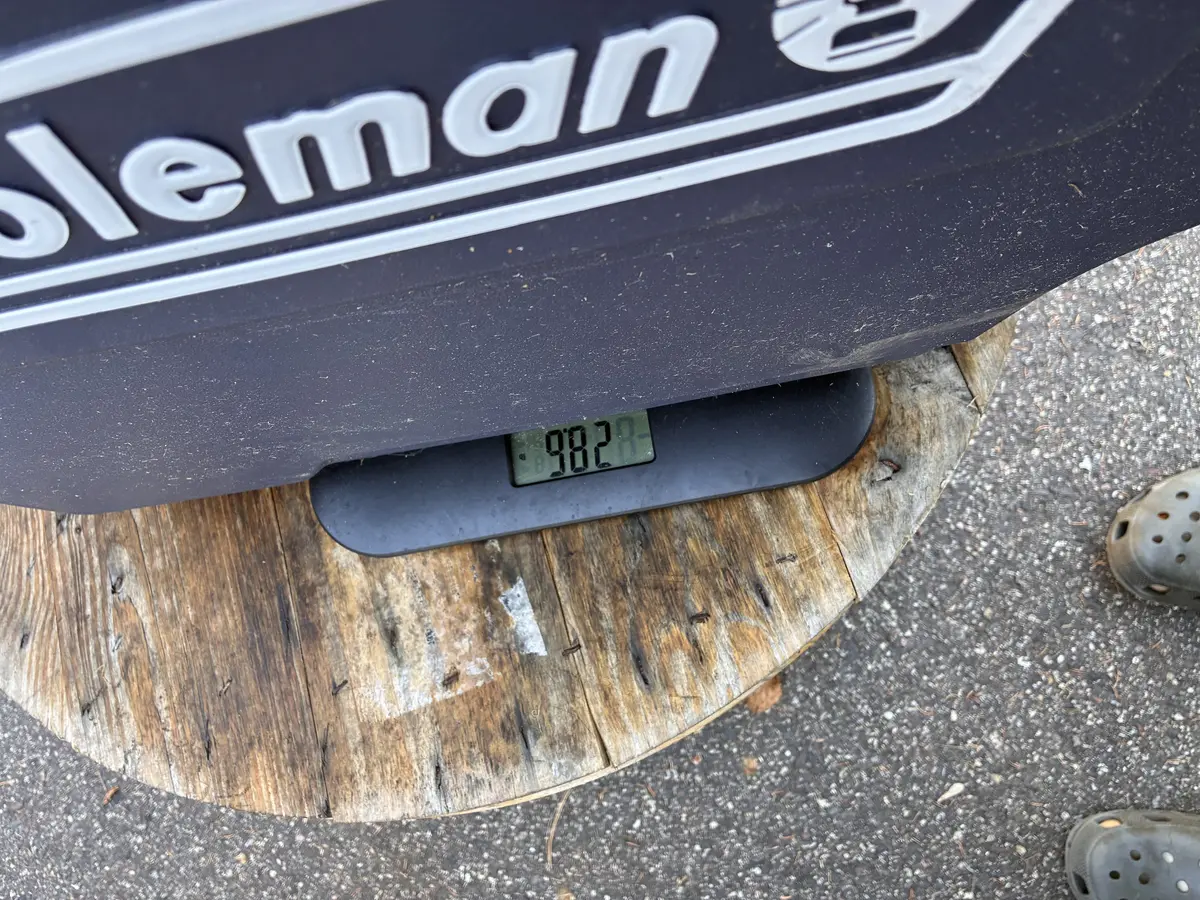Digital scale on Coleman cooler showing 38.2 lbs — cooler plus wire pre-strip batch 2